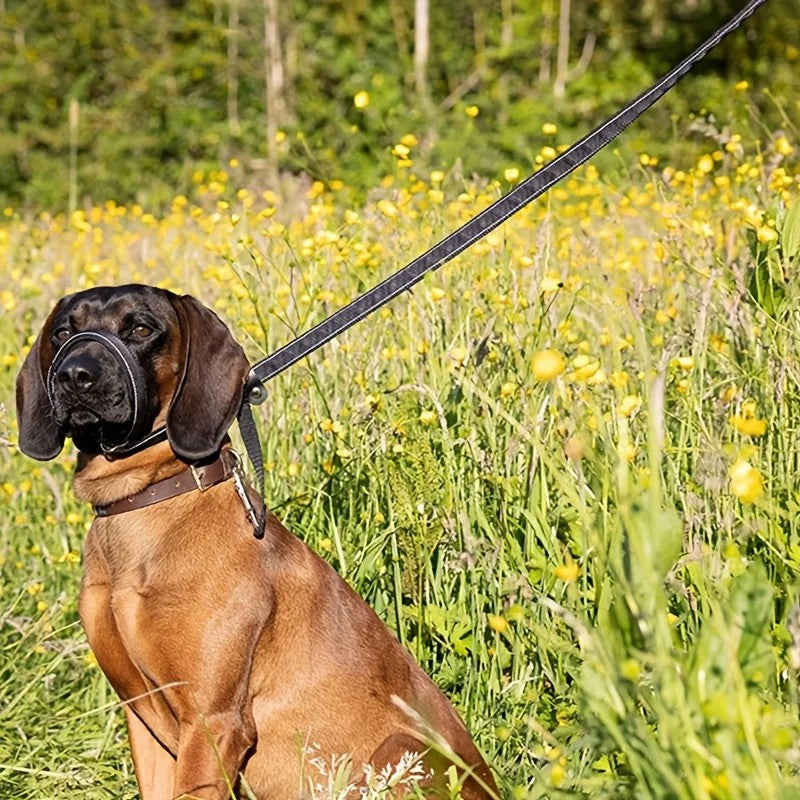 Figure-Eight Dog Headcollar Lead with Padded Nose Loop – Black, 180cm – Variant: UKC374301