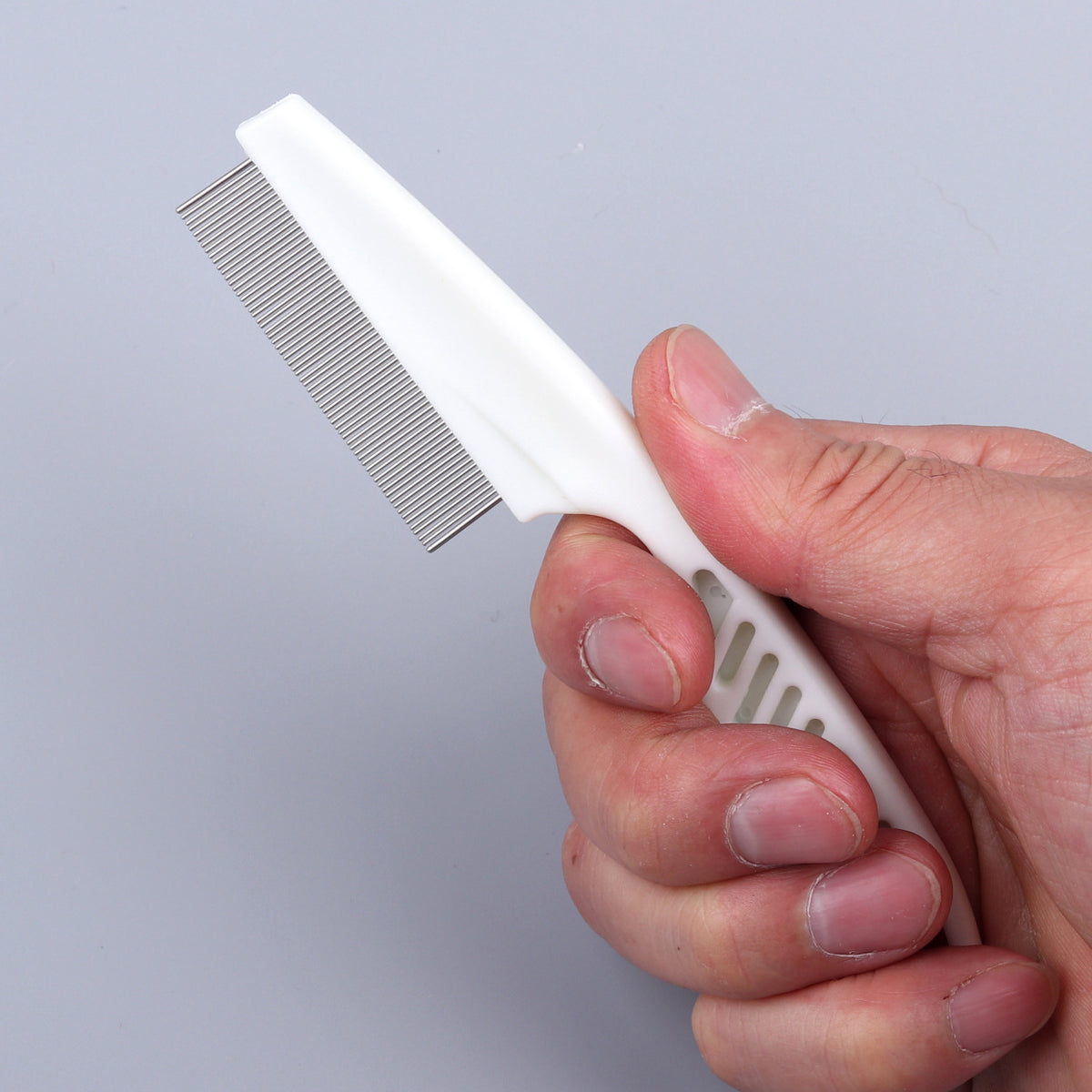 White flea comb