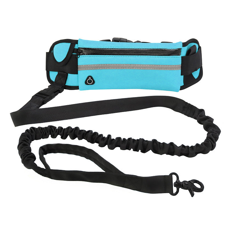 Hands-free dog walking belt and leash – Blue