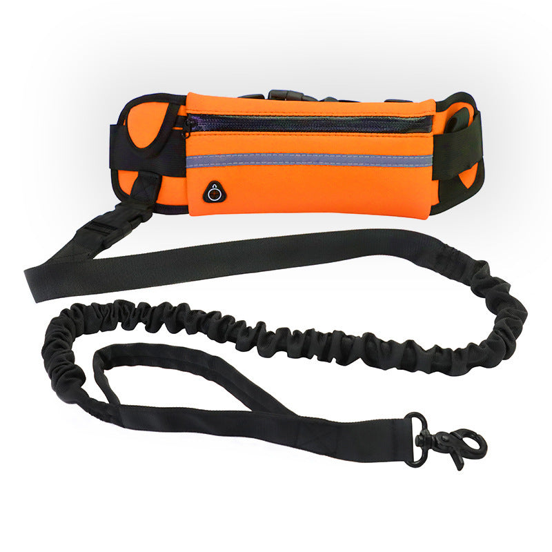 Hands-free dog walking belt and leash – Orange