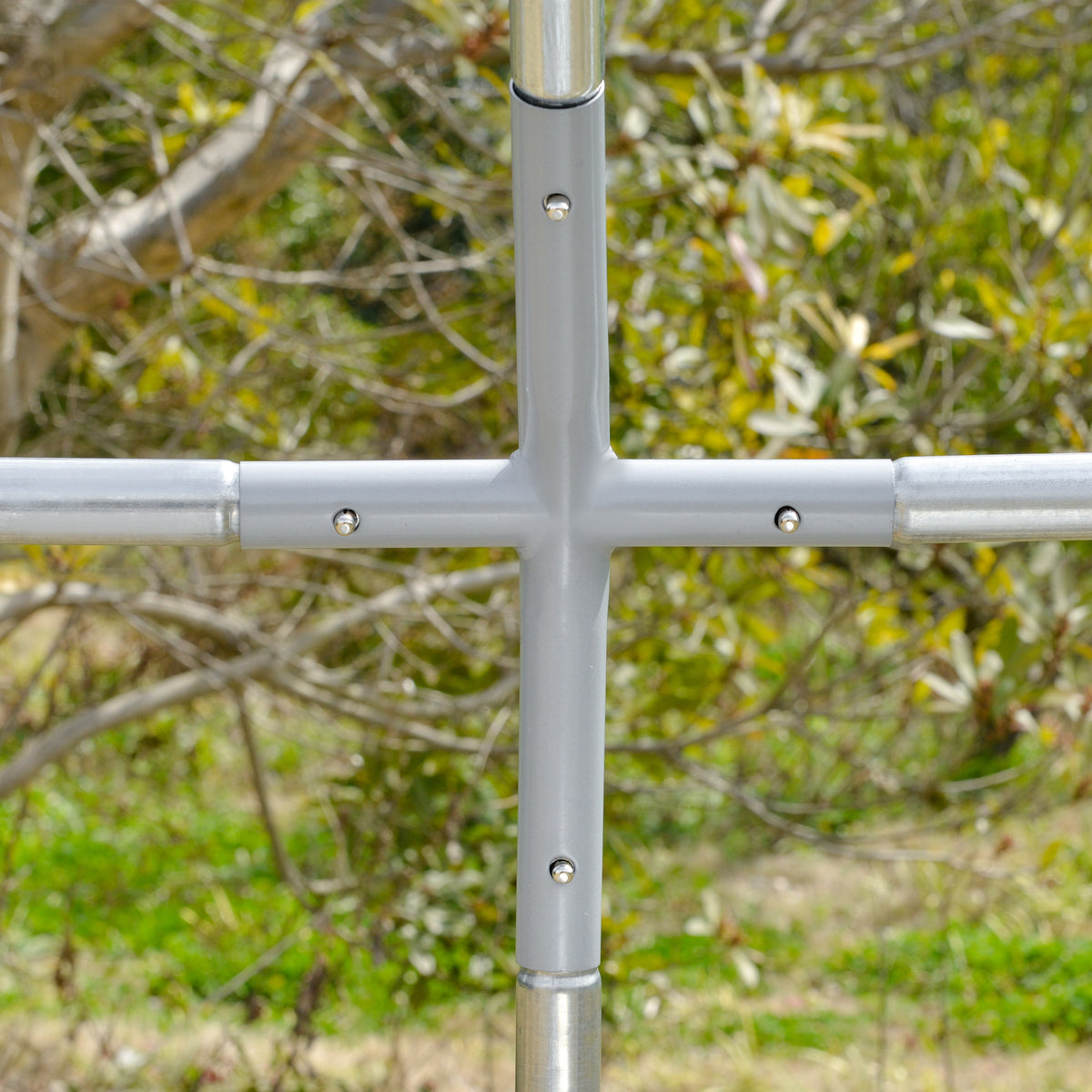 Walk-in chicken run – image 1