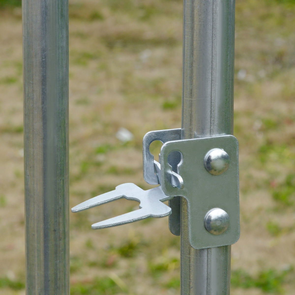 Walk-in chicken run – image 2