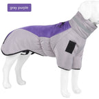 Grey and purple dog coat with short leg panels