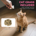 Cardboard cat house and scratching board – image 3
