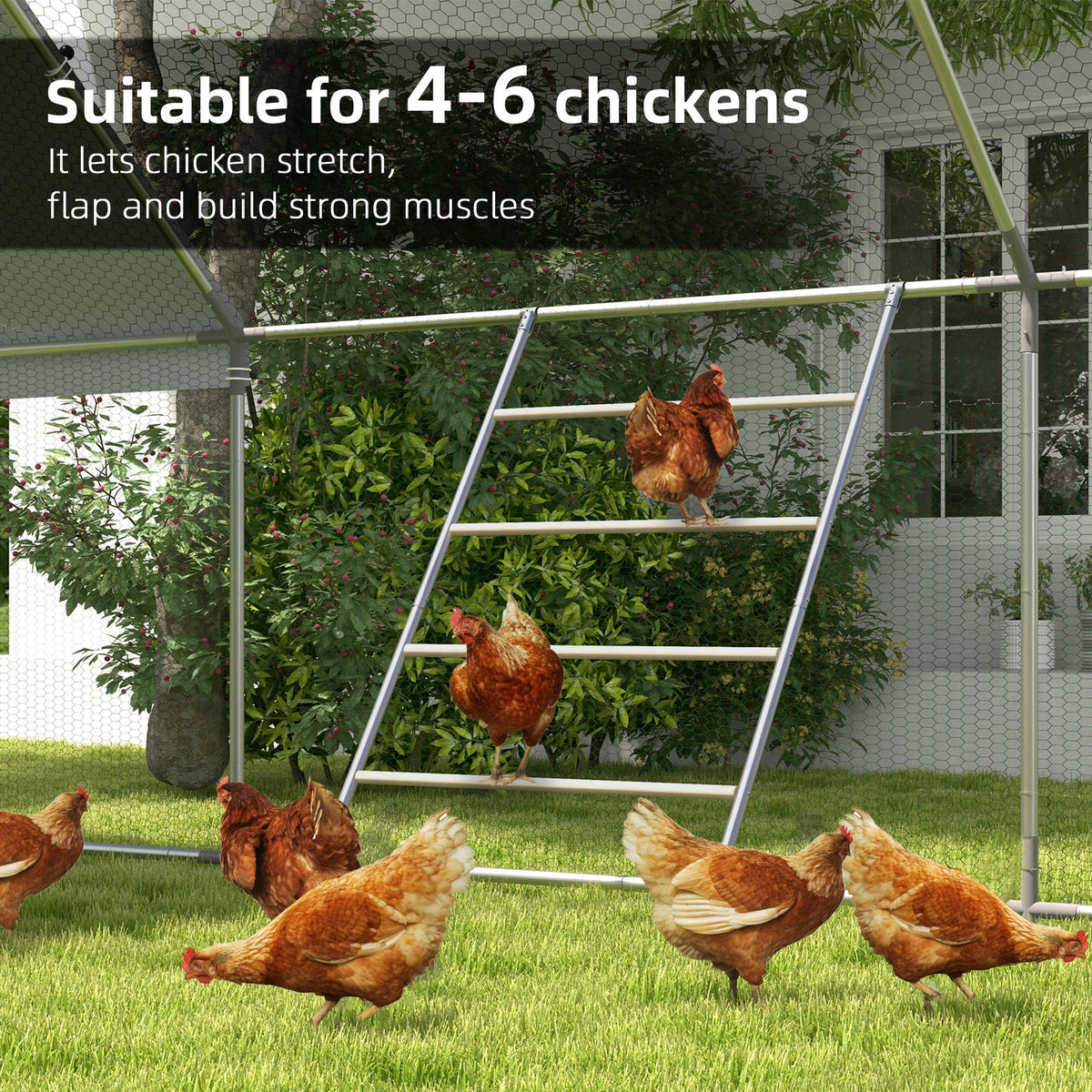 Chicken perch jungle gym – image 3