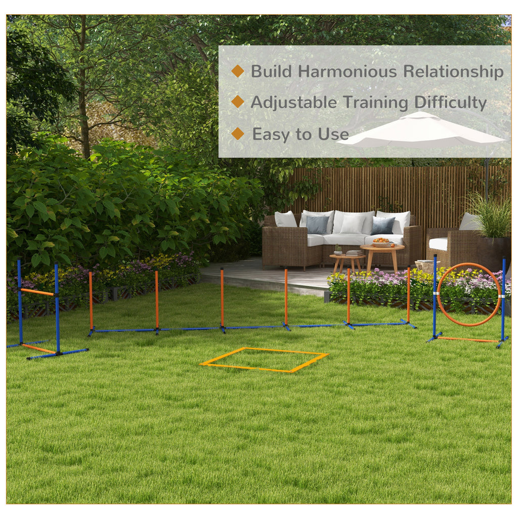 Dog agility set – image 3