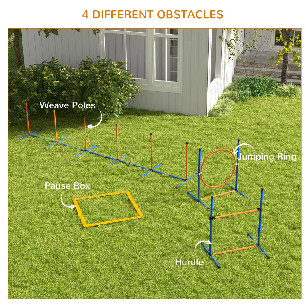 Dog agility set – image 4