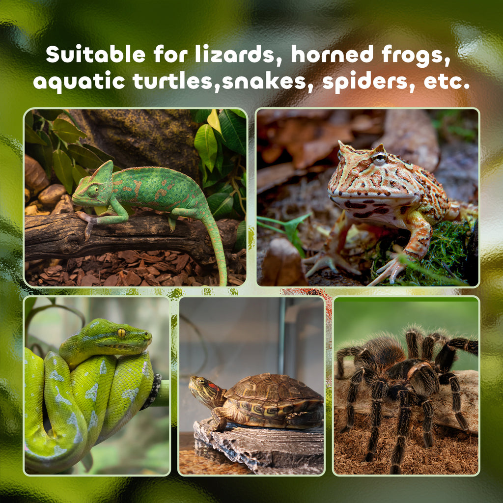 Reptile terrarium – image 2
