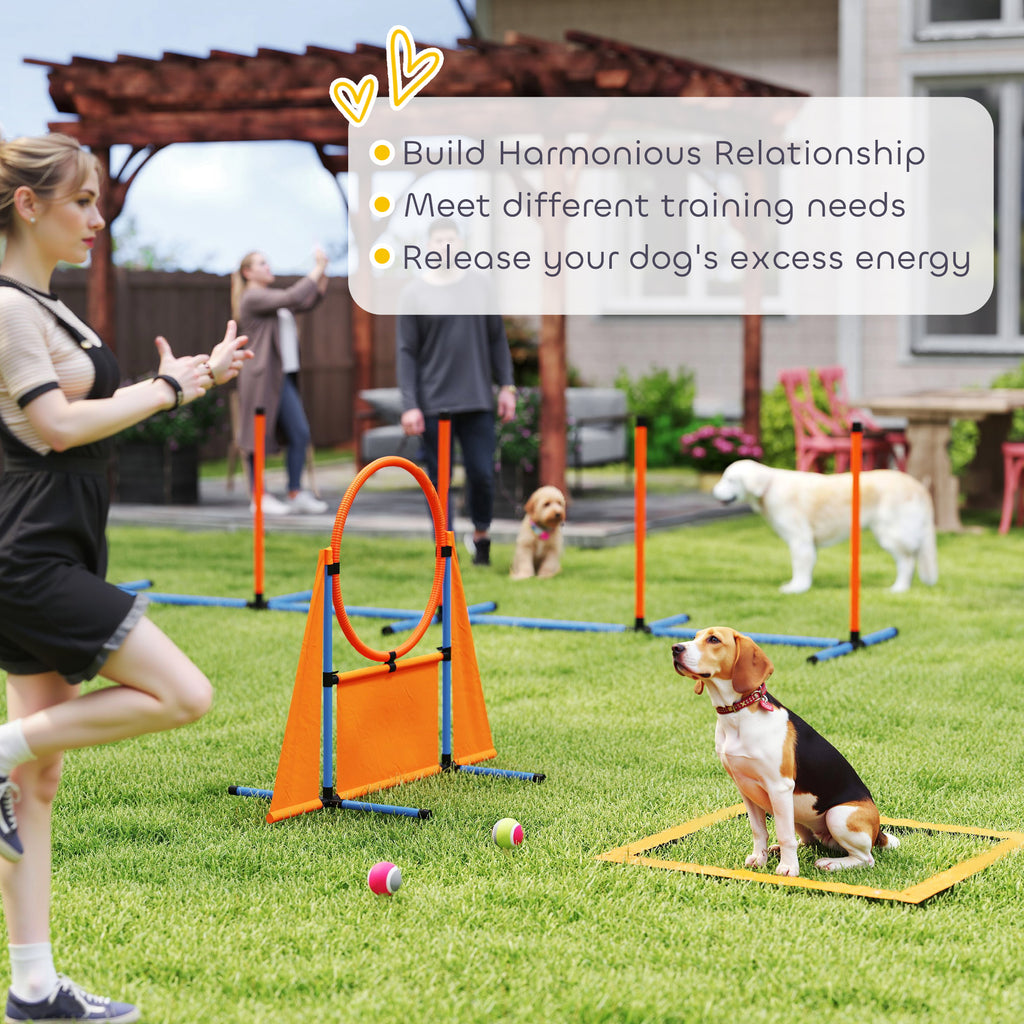 Orange dog agility set – image 3