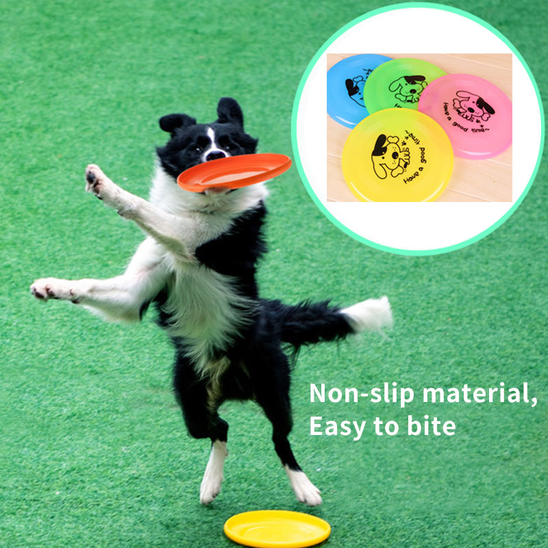 Dog flying disc – image 2