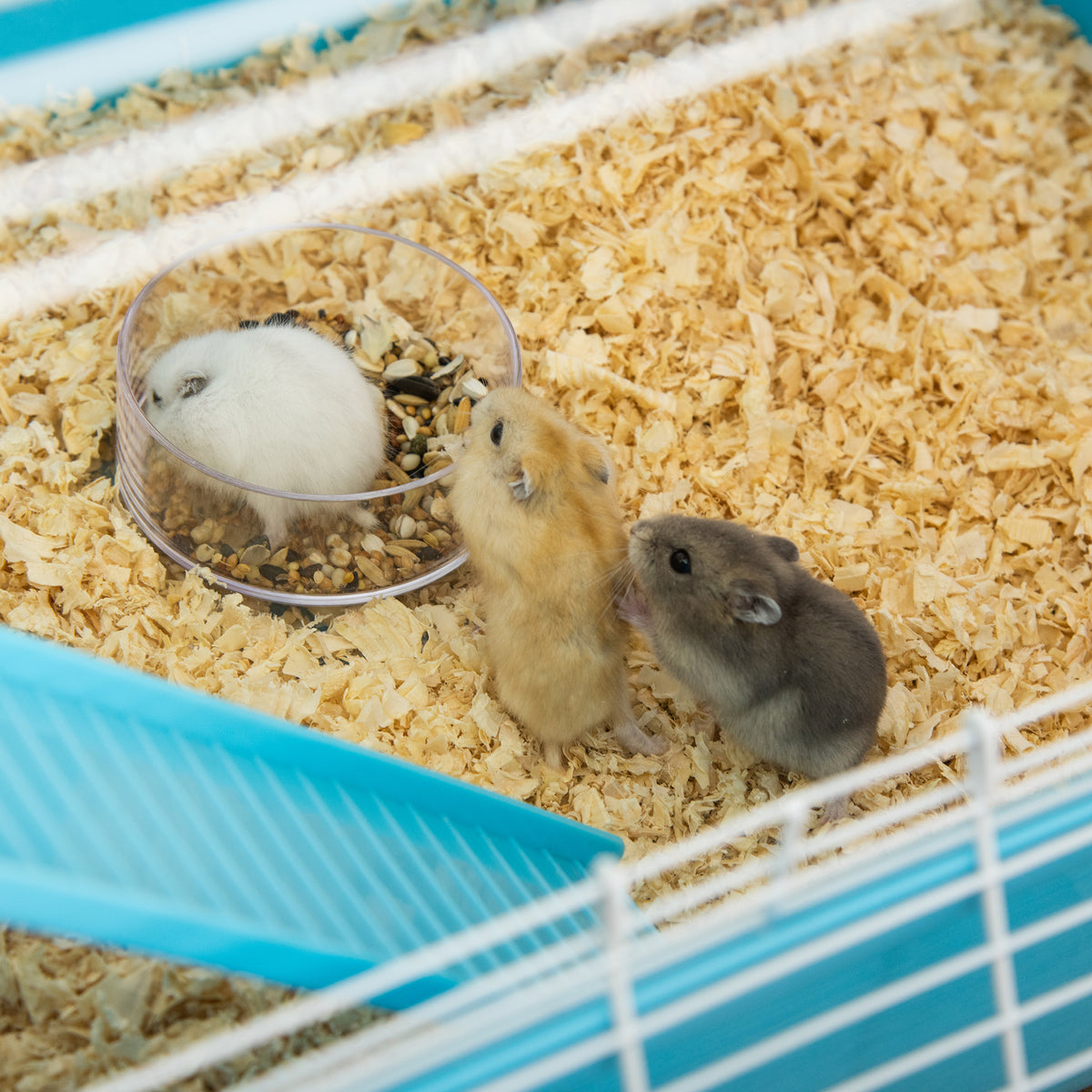 Light blue hamster cage – image 1