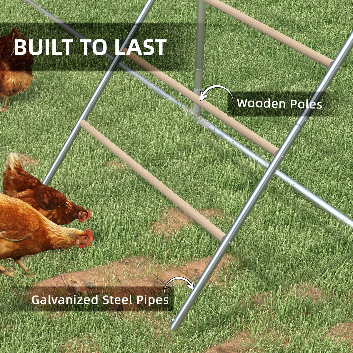 Chicken perch jungle gym – image 4