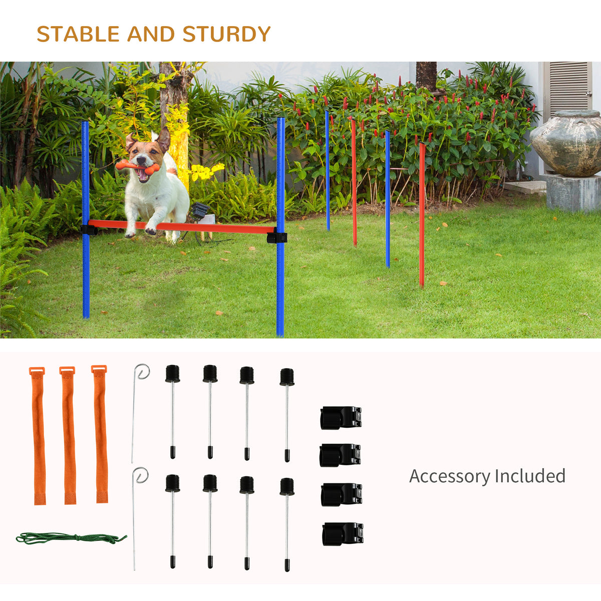 Dog agility set – image 3