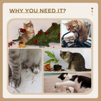 Jute cat scratching post – image 5