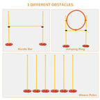 PawHut Dog Agility Jump & Hoop Set – Yellow – product view 4