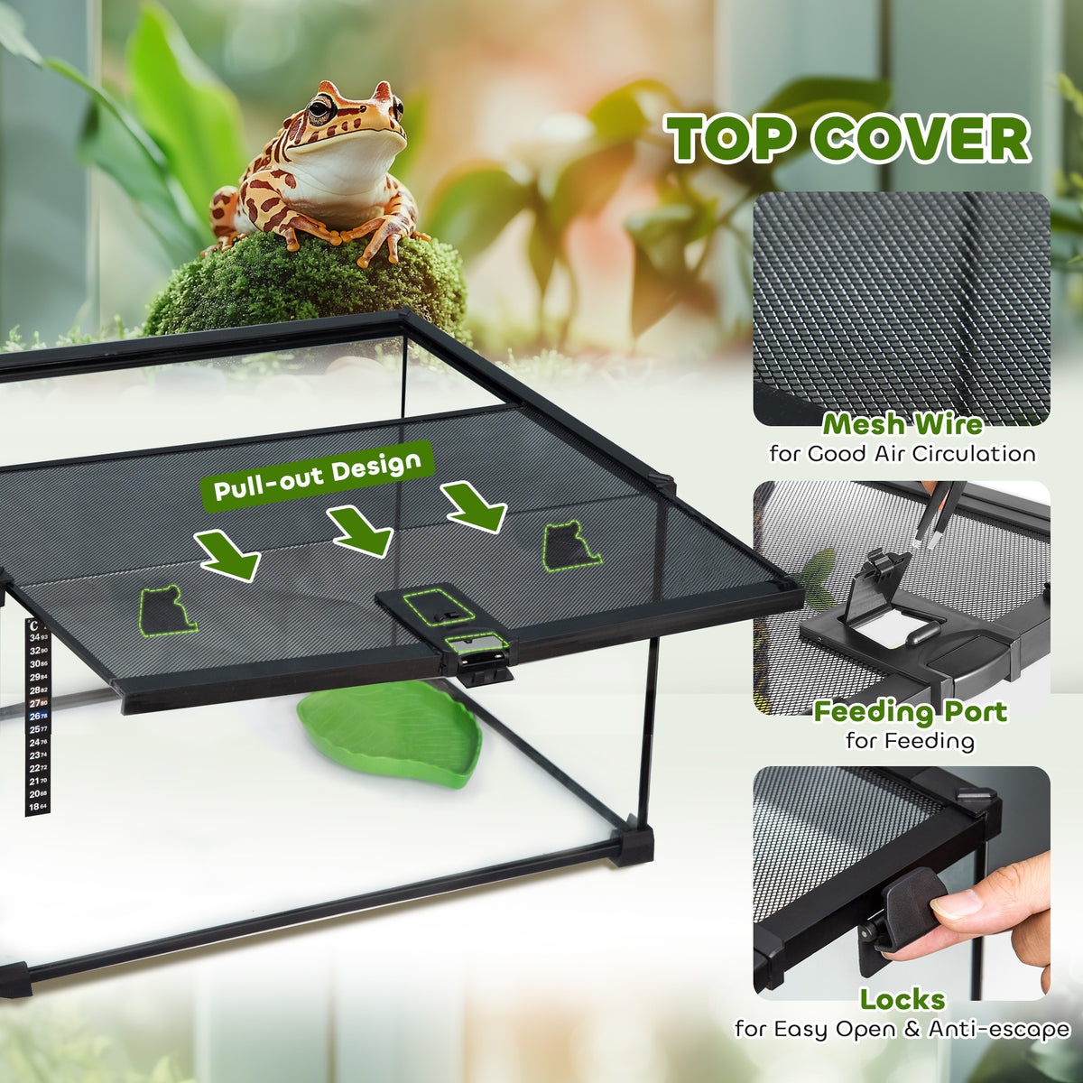 Reptile terrarium – image 4