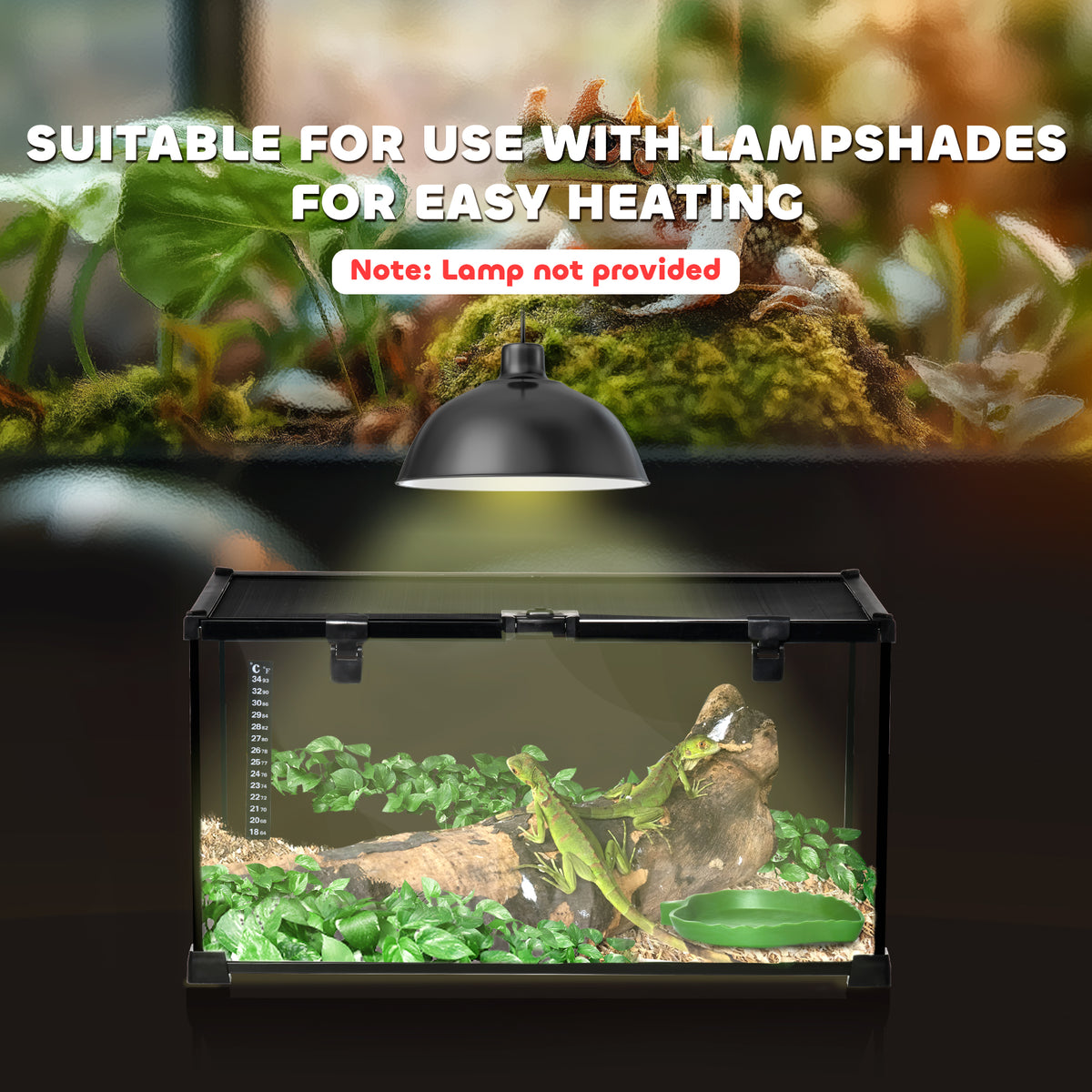 Reptile terrarium – image 1