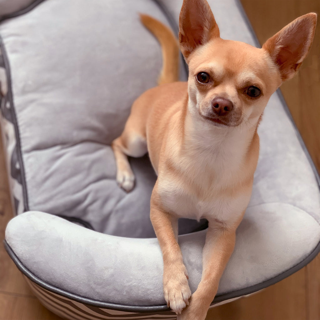 Grey XS dog sofa – image 4