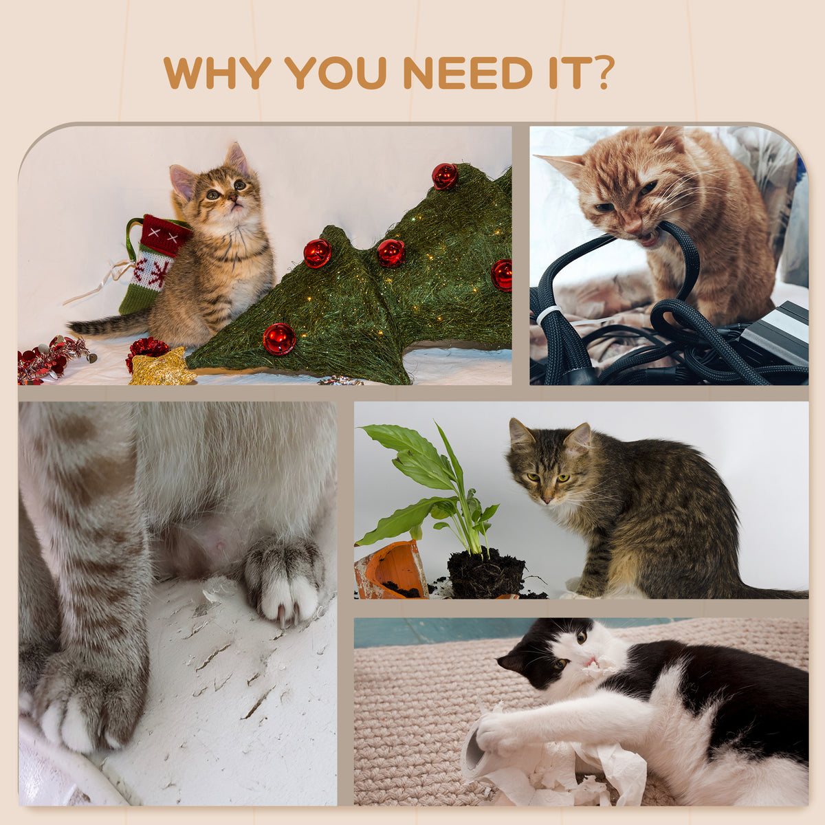 Wall-mounted cat shelves – image 3