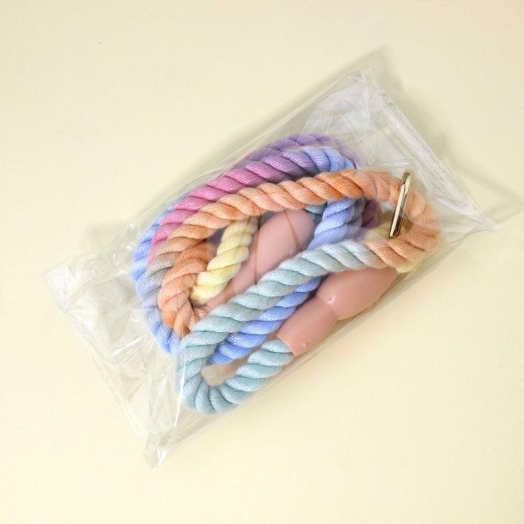 Gradient braided nylon dog lead – image 3