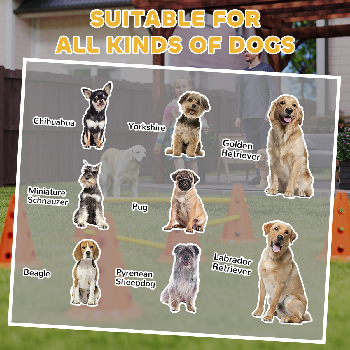 Dog agility jump set – image 2