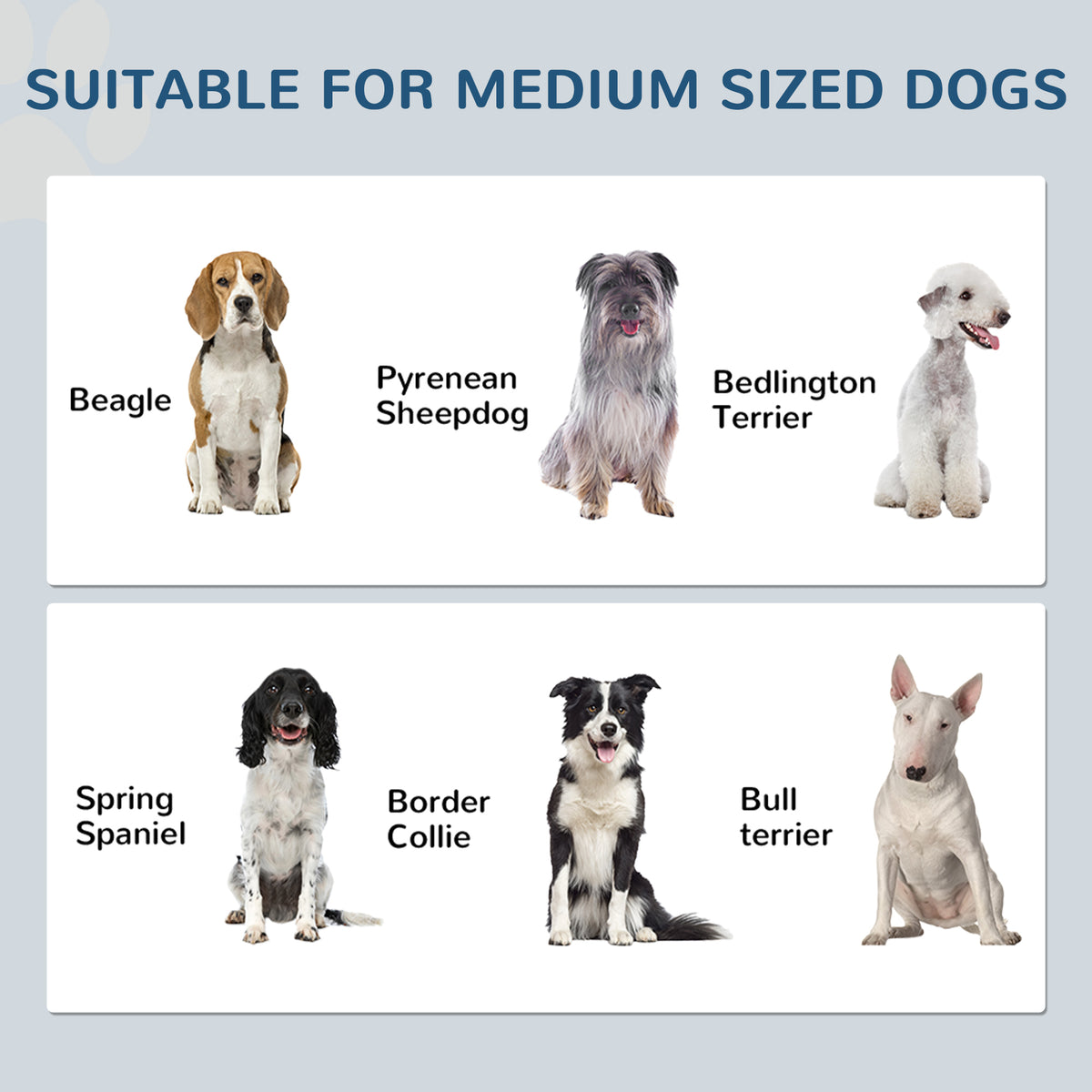 Raised dog feeding station – image 3